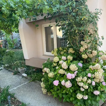 Ika Holiday home